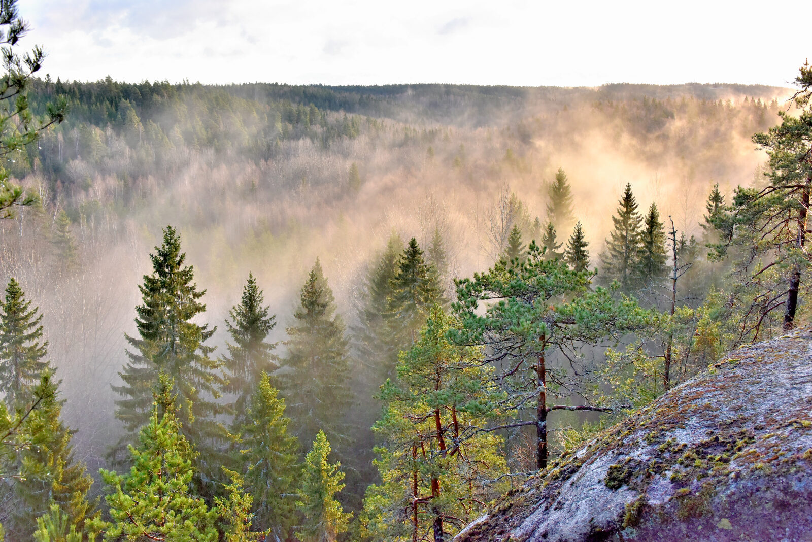 Valokuvaaja: Reijo Juurinen