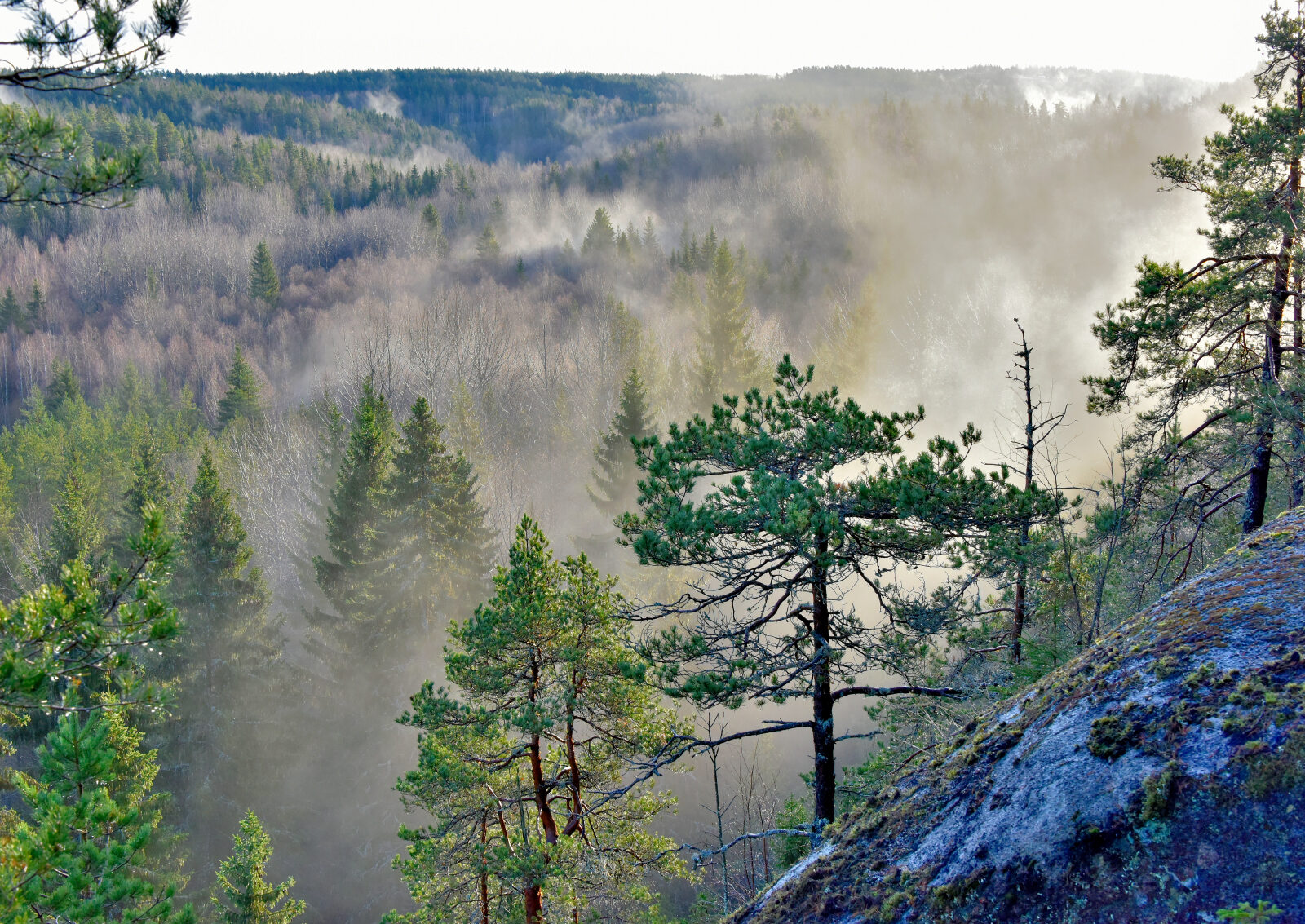 Valokuvaaja: Reijo Juurinen