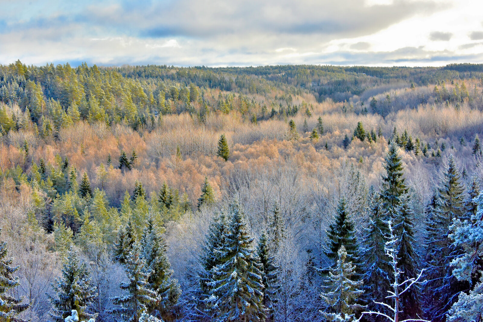 Valokuvaaja: Reijo Juurinen