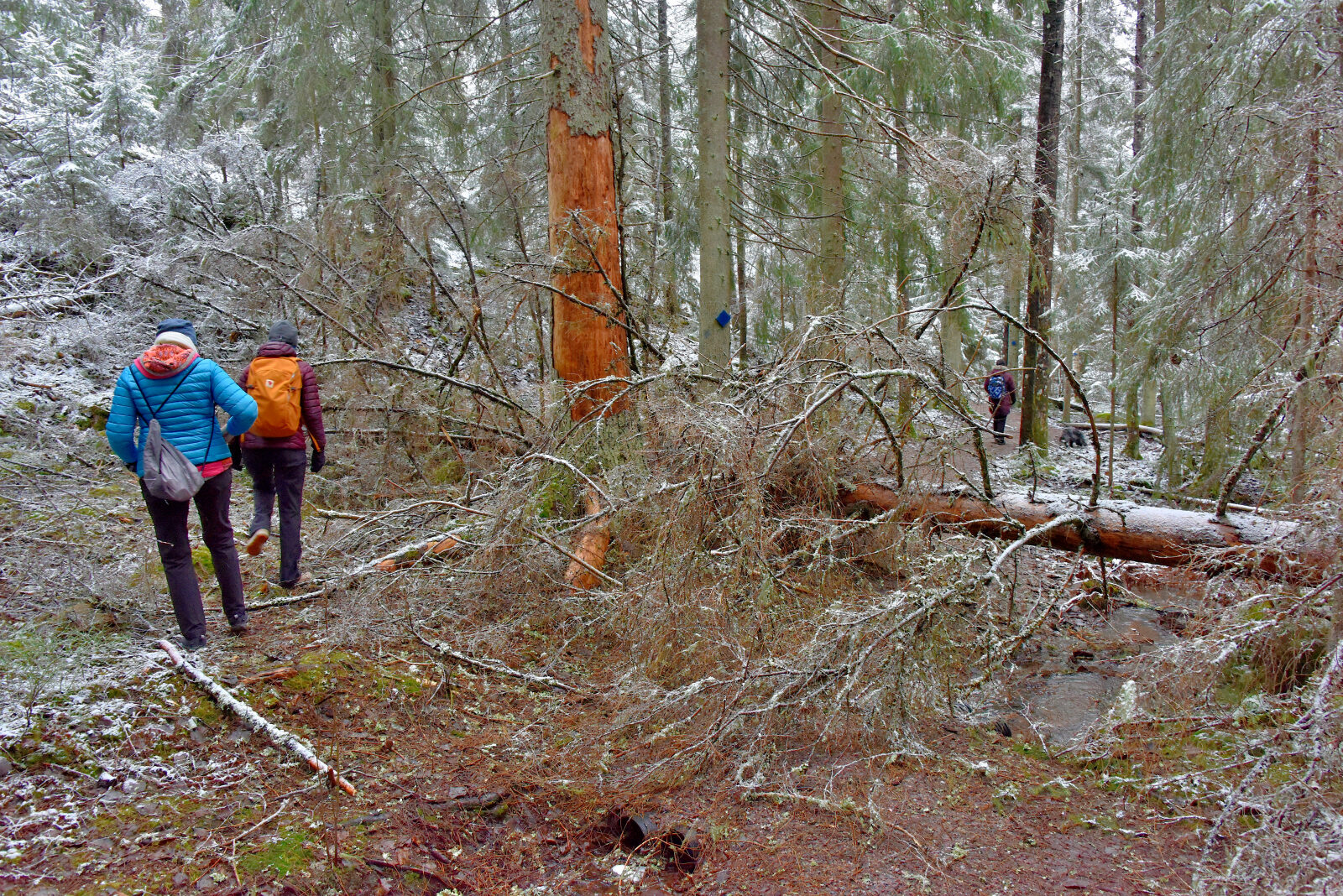 Valokuvaaja: Reijo Juurinen