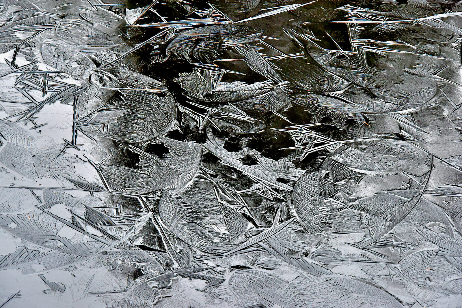 Valokuvaaja: Reijo Juurinen