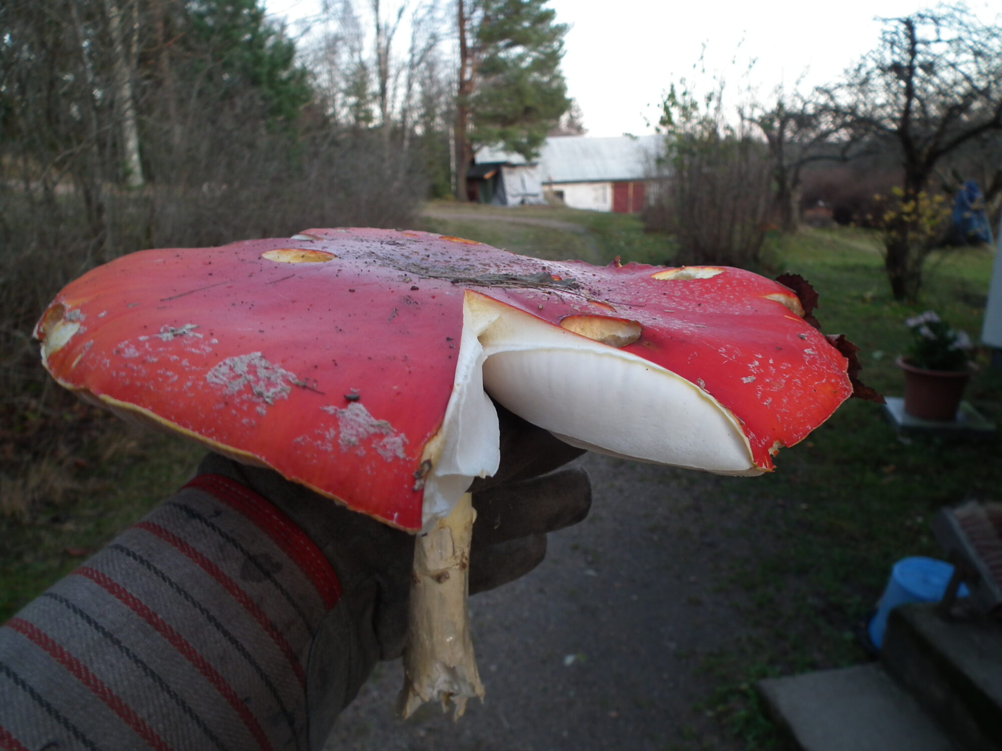 Valokuvaaja: Esko Reima Valokuvaaja: Esko Reima