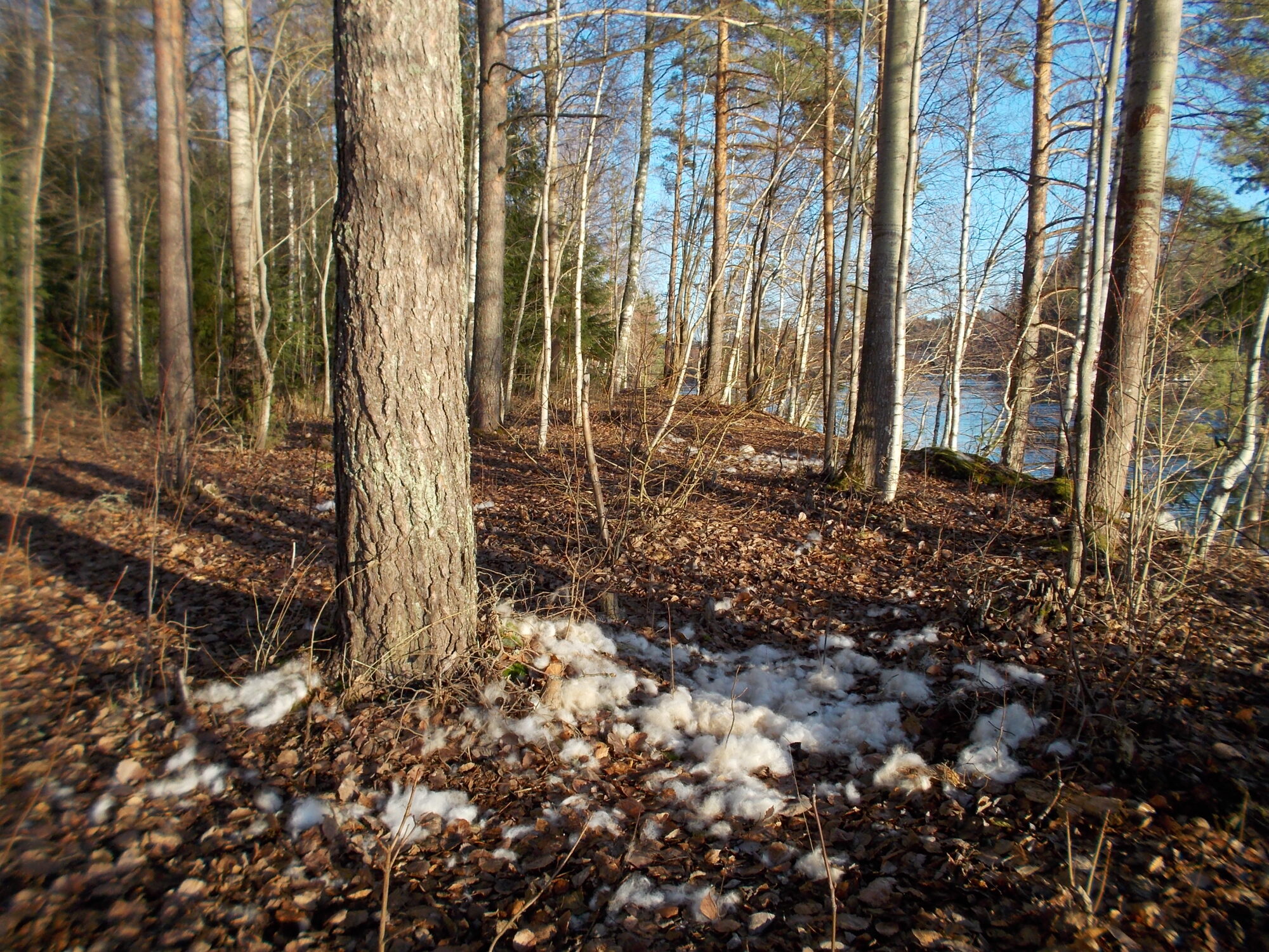 Valokuvaaja: Maria Ylä-Jussila