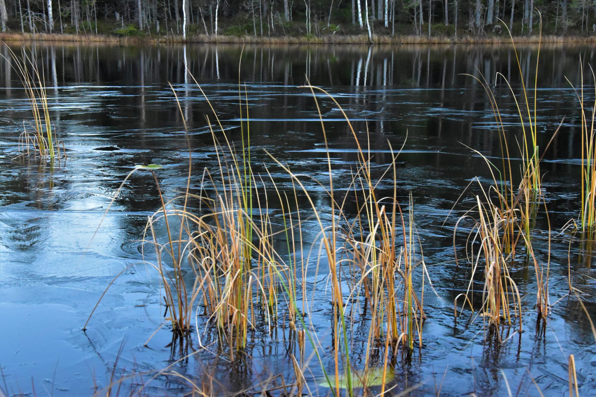 Valokuvaaja: Lahja Toivanen
