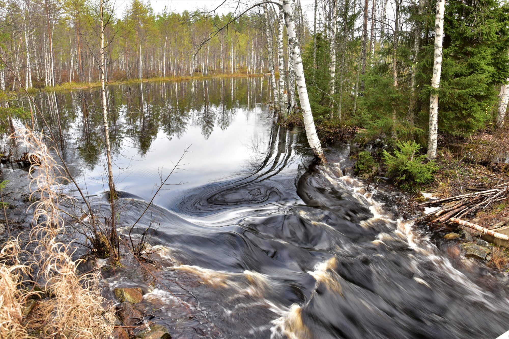 Valokuvaaja: Lahja Toivanen