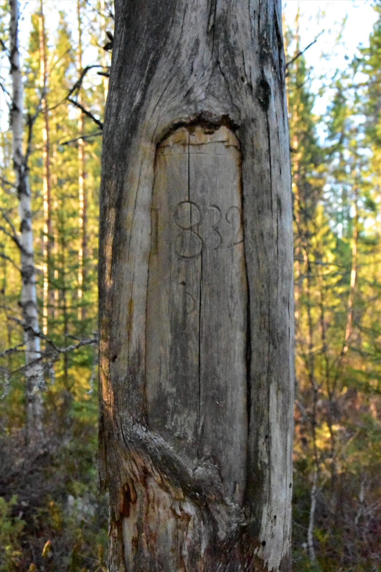 Valokuvaaja: Lahja Toivanen