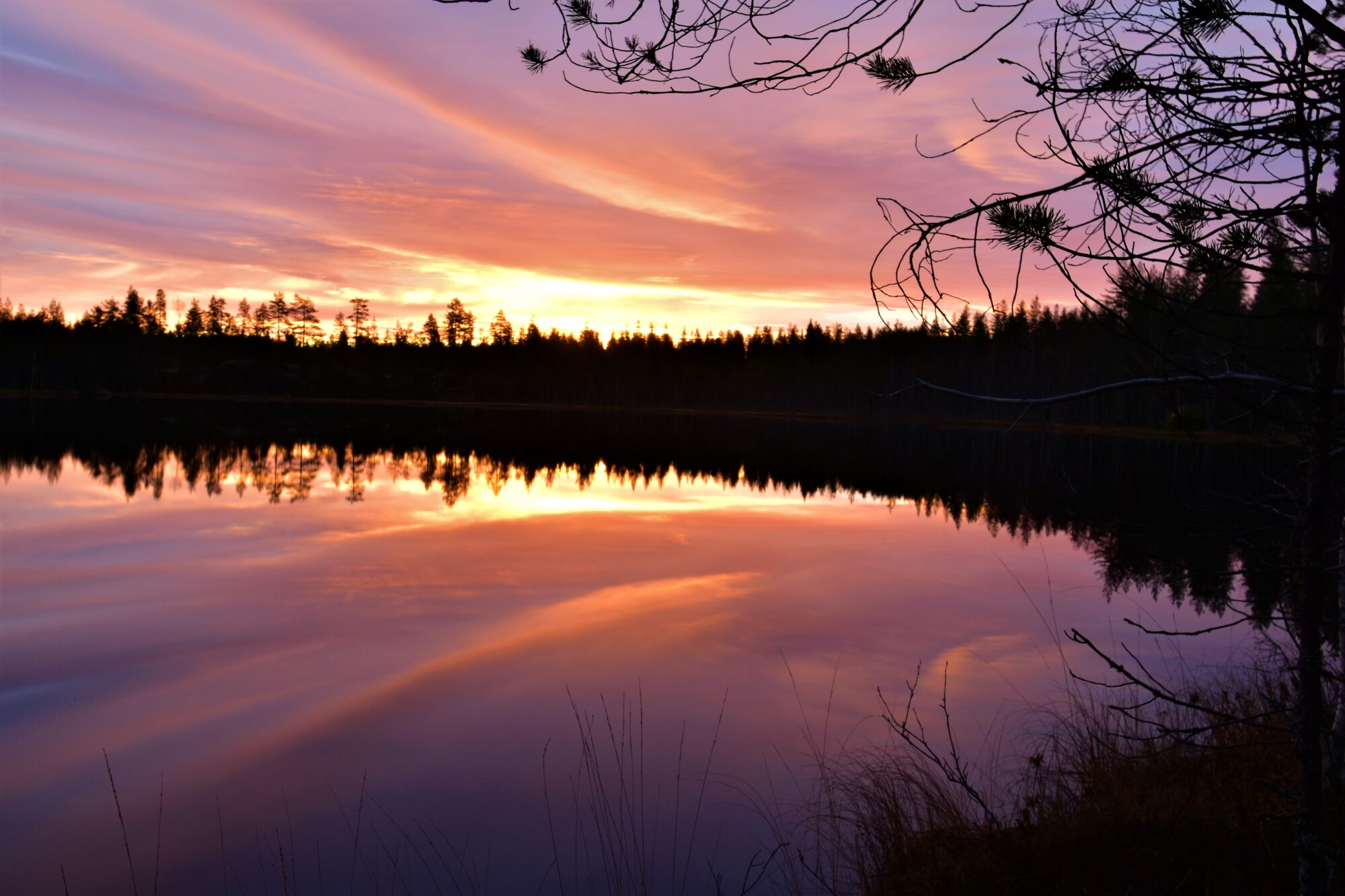 Valokuvaaja: Lahja Toivanen