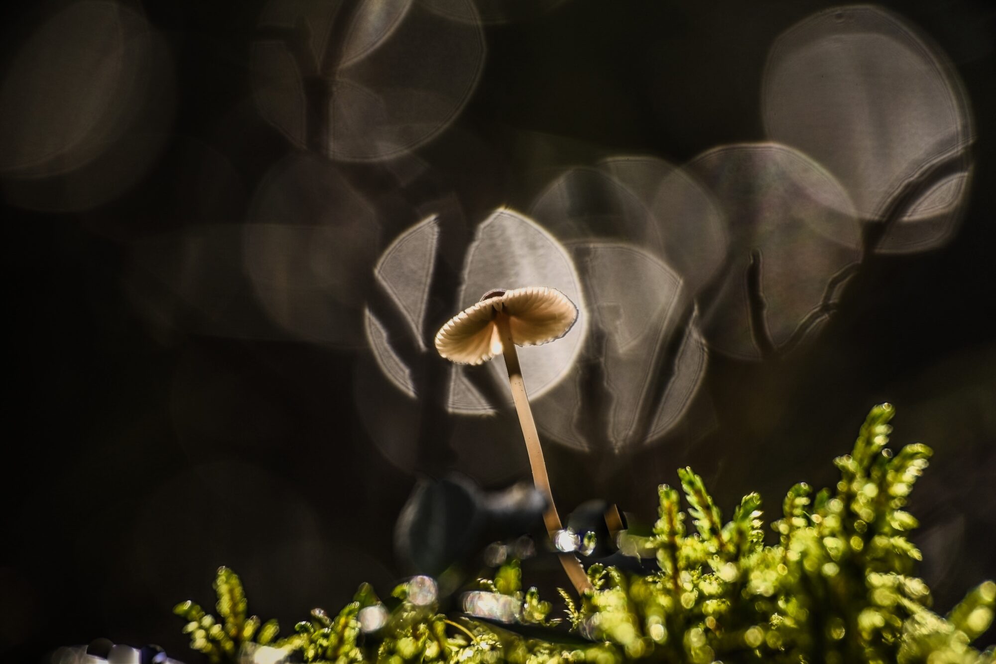 Valokuvaaja: LEENA LATVALA