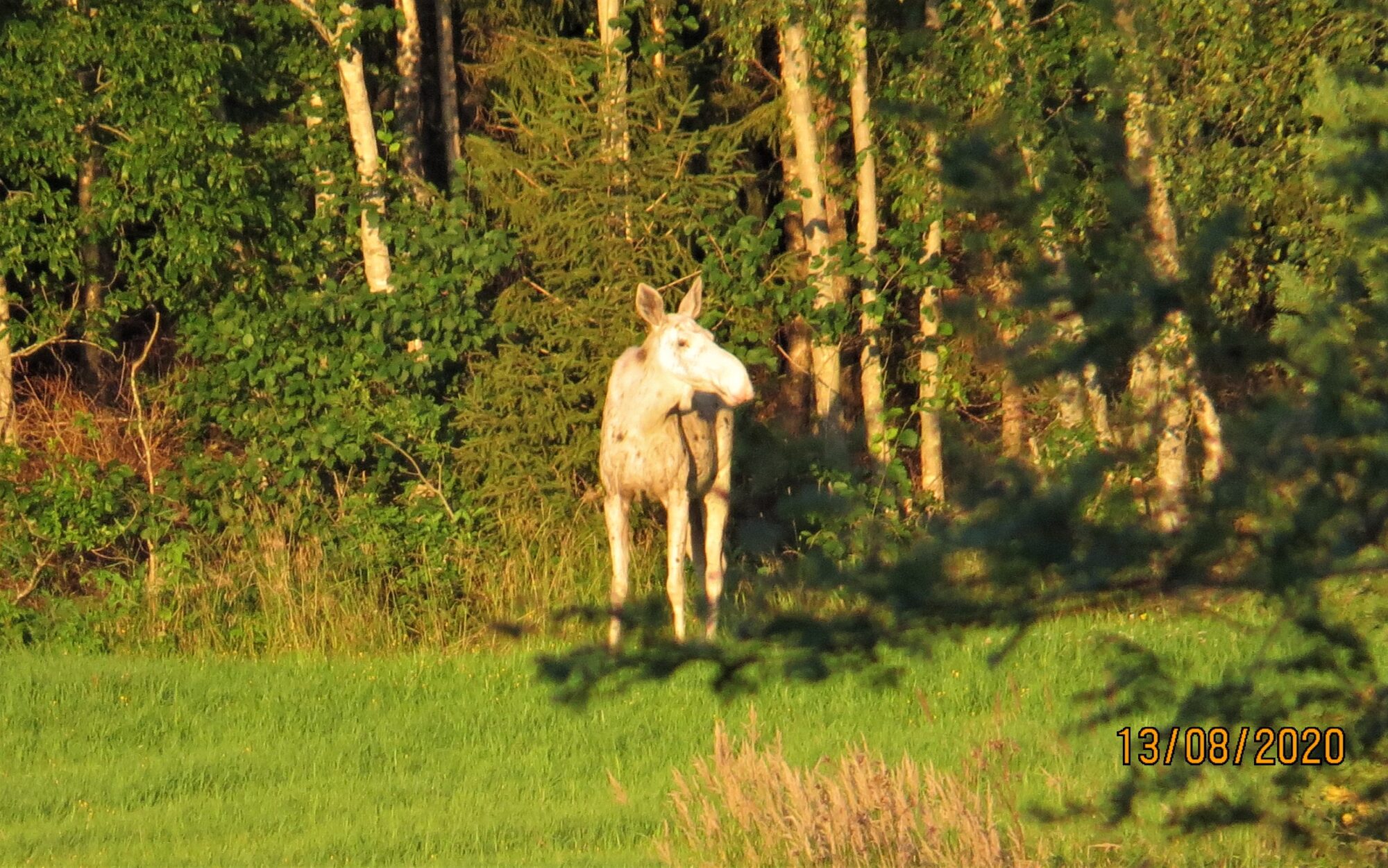 Valokuvaaja: Unto Kylä-Kierola