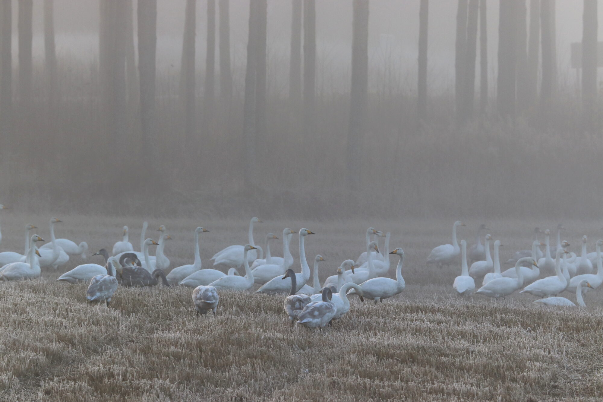 Valokuvaaja: Irja Lehtinen