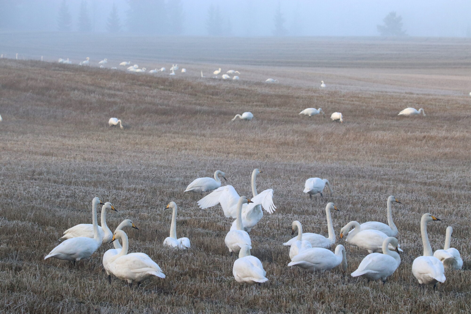 Valokuvaaja: Irja Lehtinen