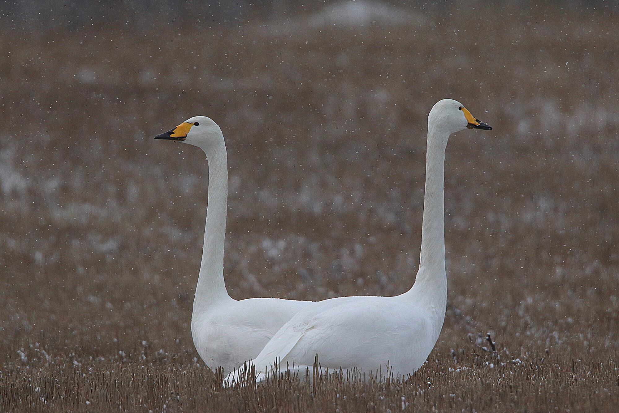 Valokuvaaja: Irja Lehtinen