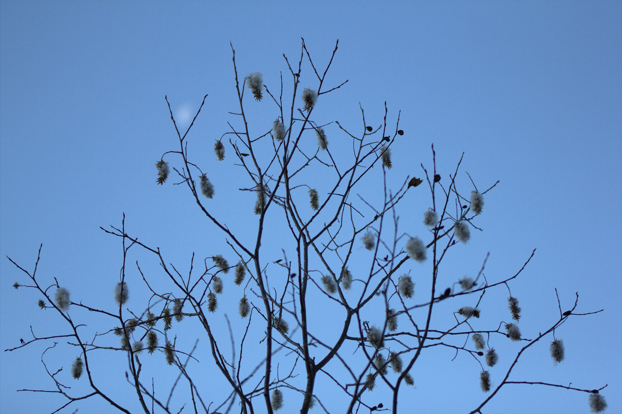 Valokuvaaja: tapio keinonen