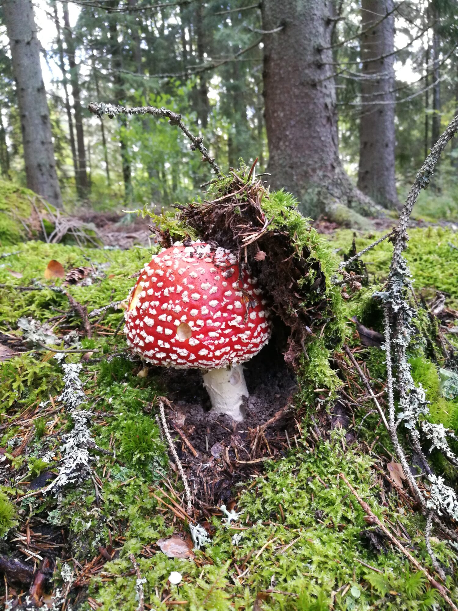 Valokuvaaja: Ritva Isokangas