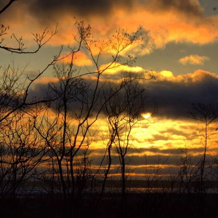 Valokuvaaja: Tapio Keinonen