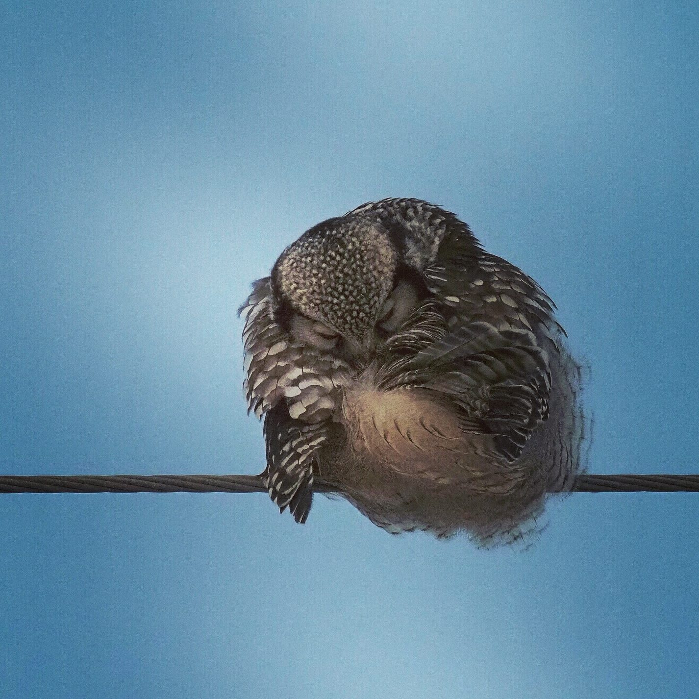 Valokuvaaja: Mikkola Irma