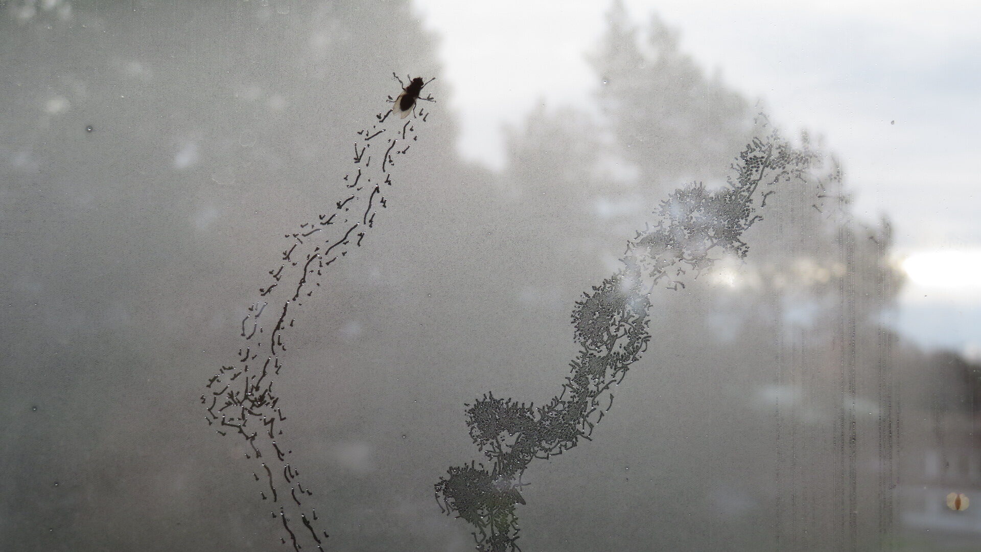 Valokuvaaja: Risto Kangassalo