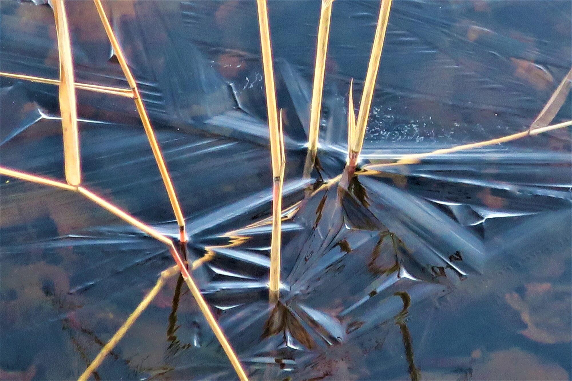 Valokuvaaja: Arto Alasuutari Valokuvaaja: Arto Alasuutari