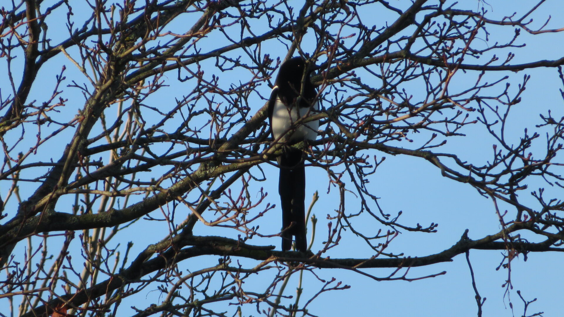 Valokuvaaja: Risto Kangassalo