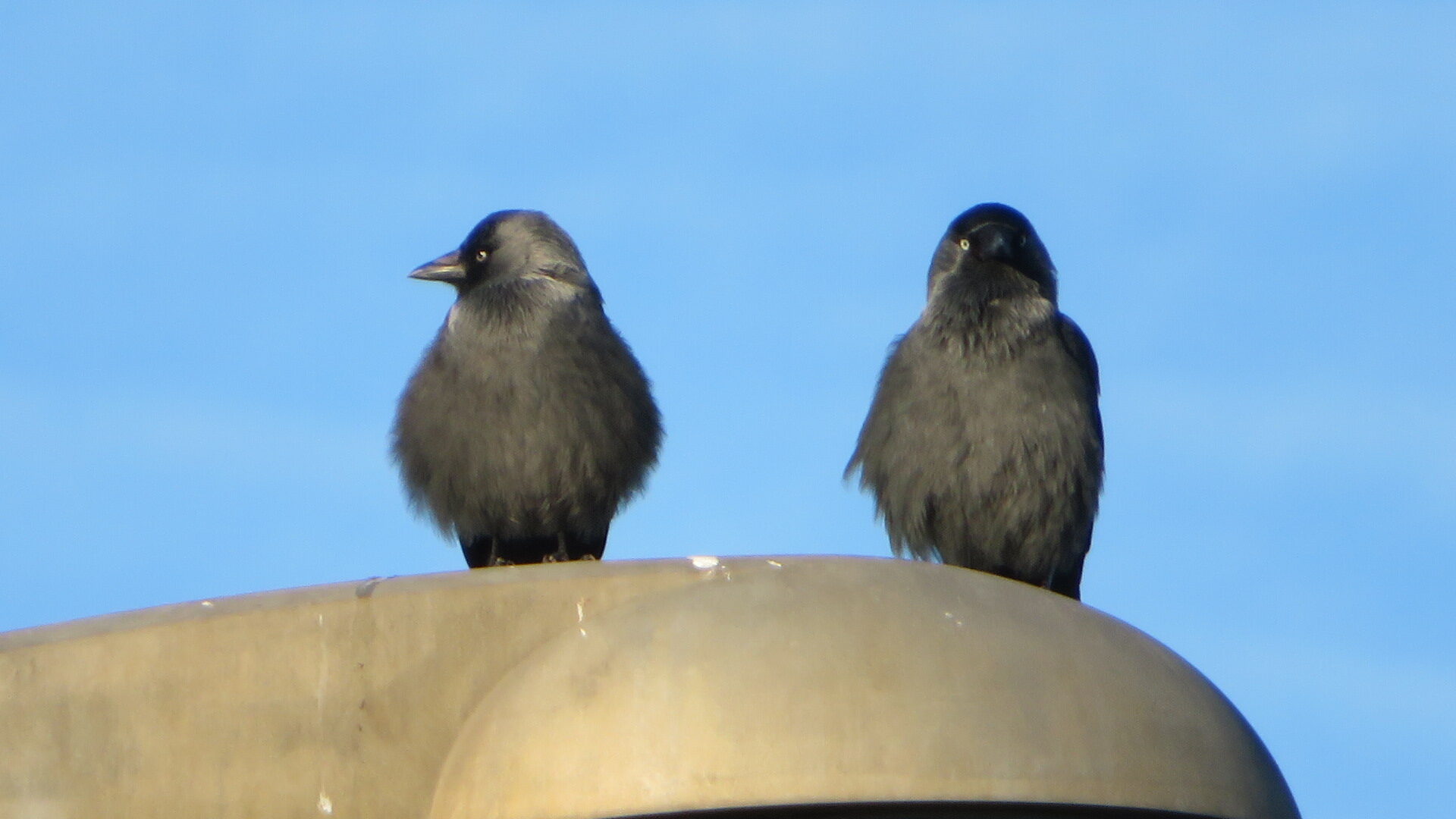 Valokuvaaja: Risto Kangassalo