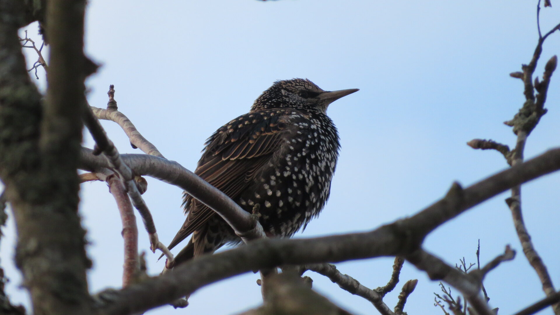 Valokuvaaja: Risto Kangassalo