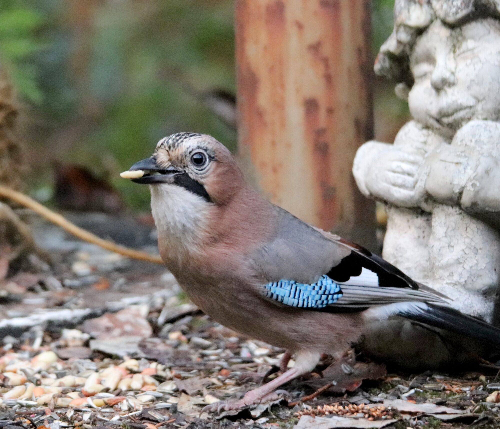 Valokuvaaja: Irja Lehtinen