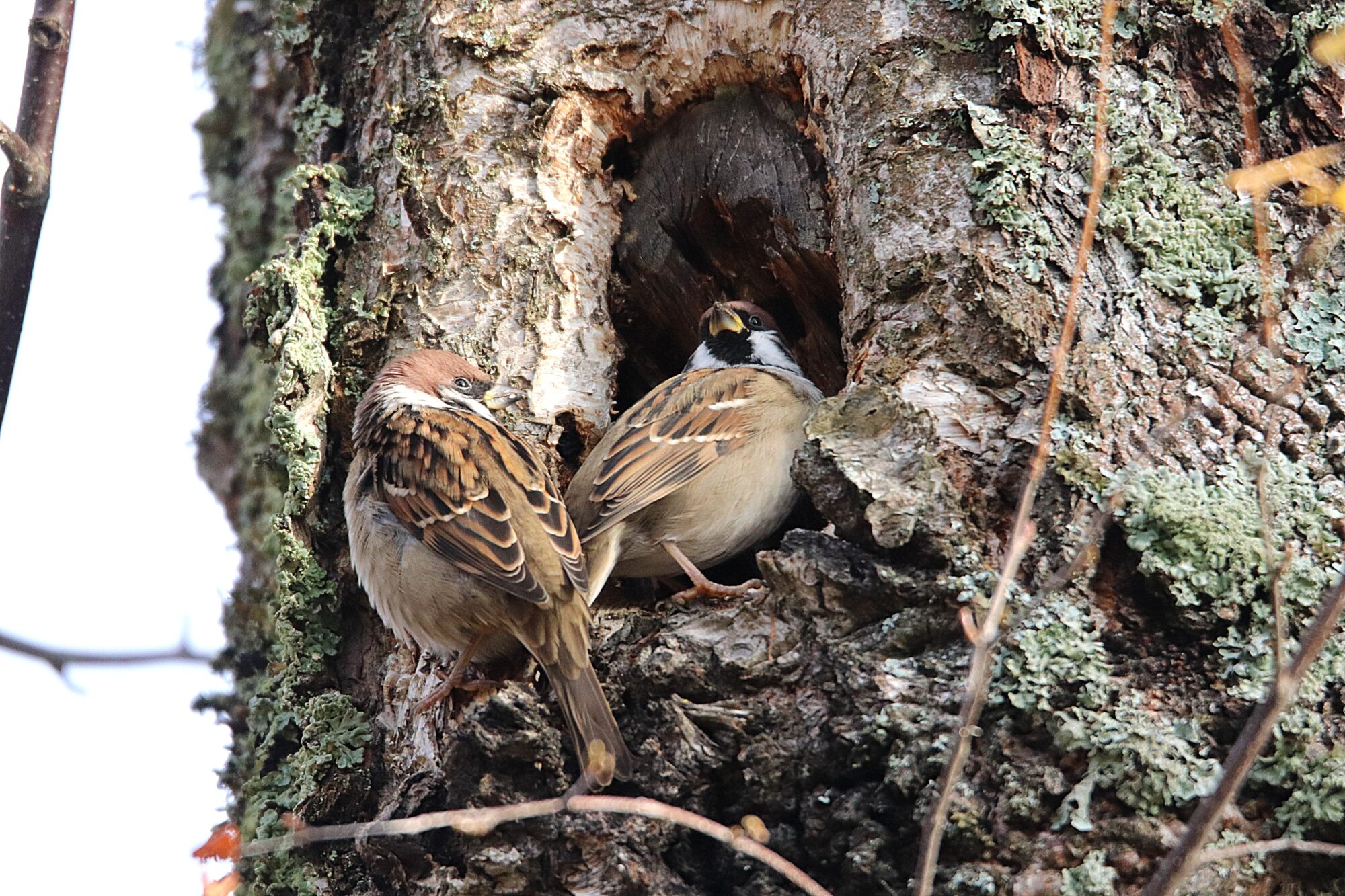 Valokuvaaja: Irja Lehtinen
