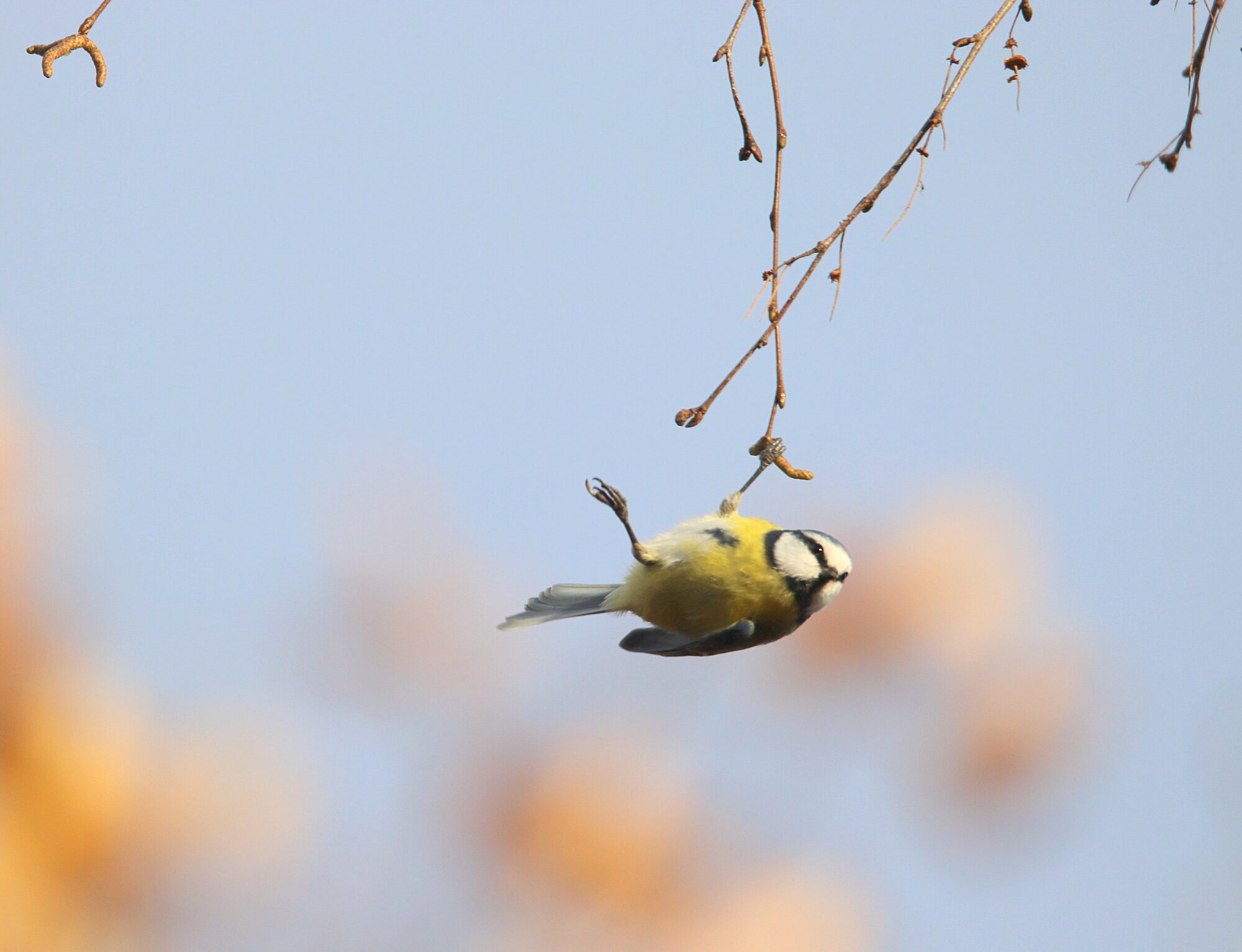 Valokuvaaja: Irja Lehtinen