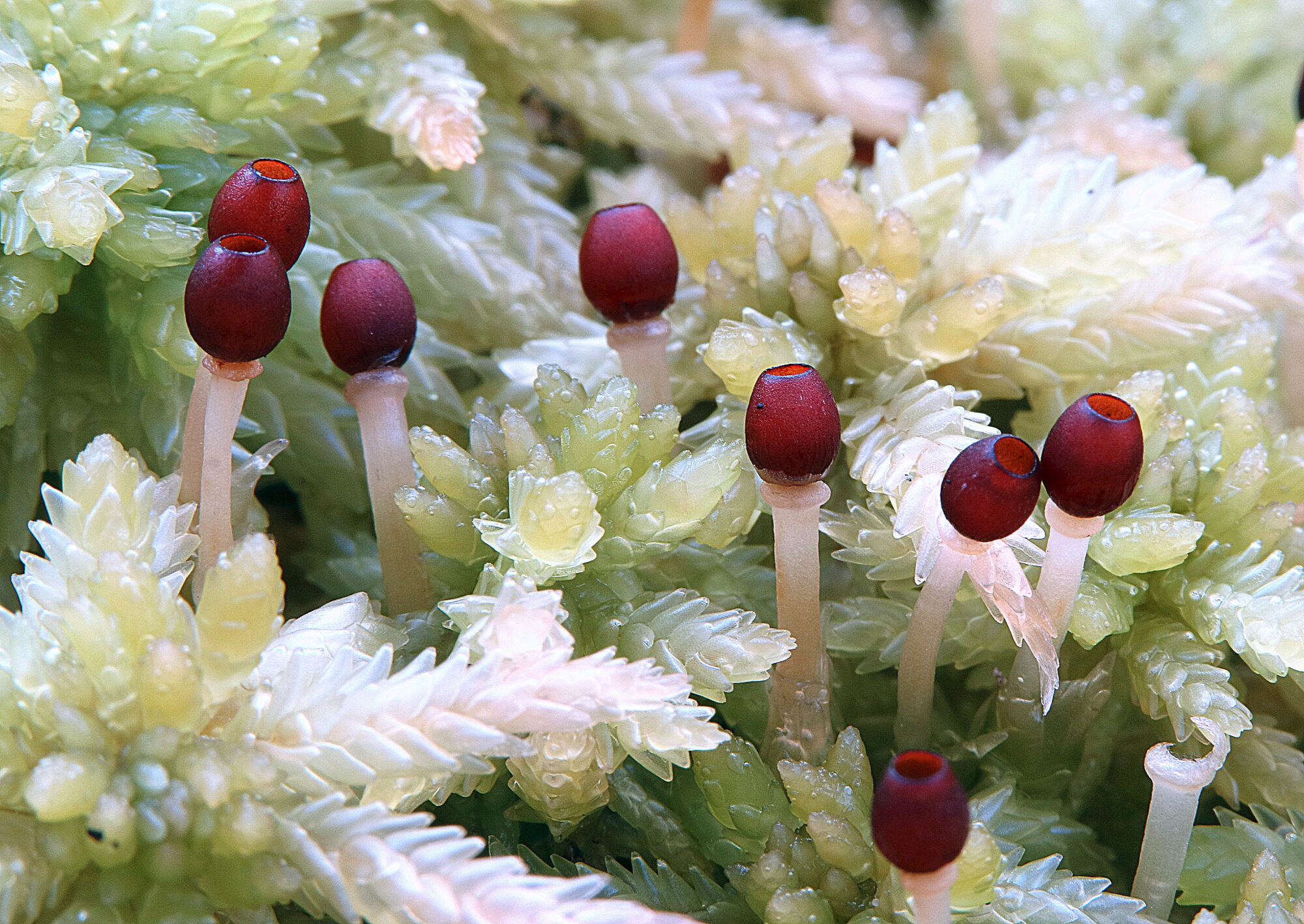 Valokuvaaja: Hannu. Rasiranta