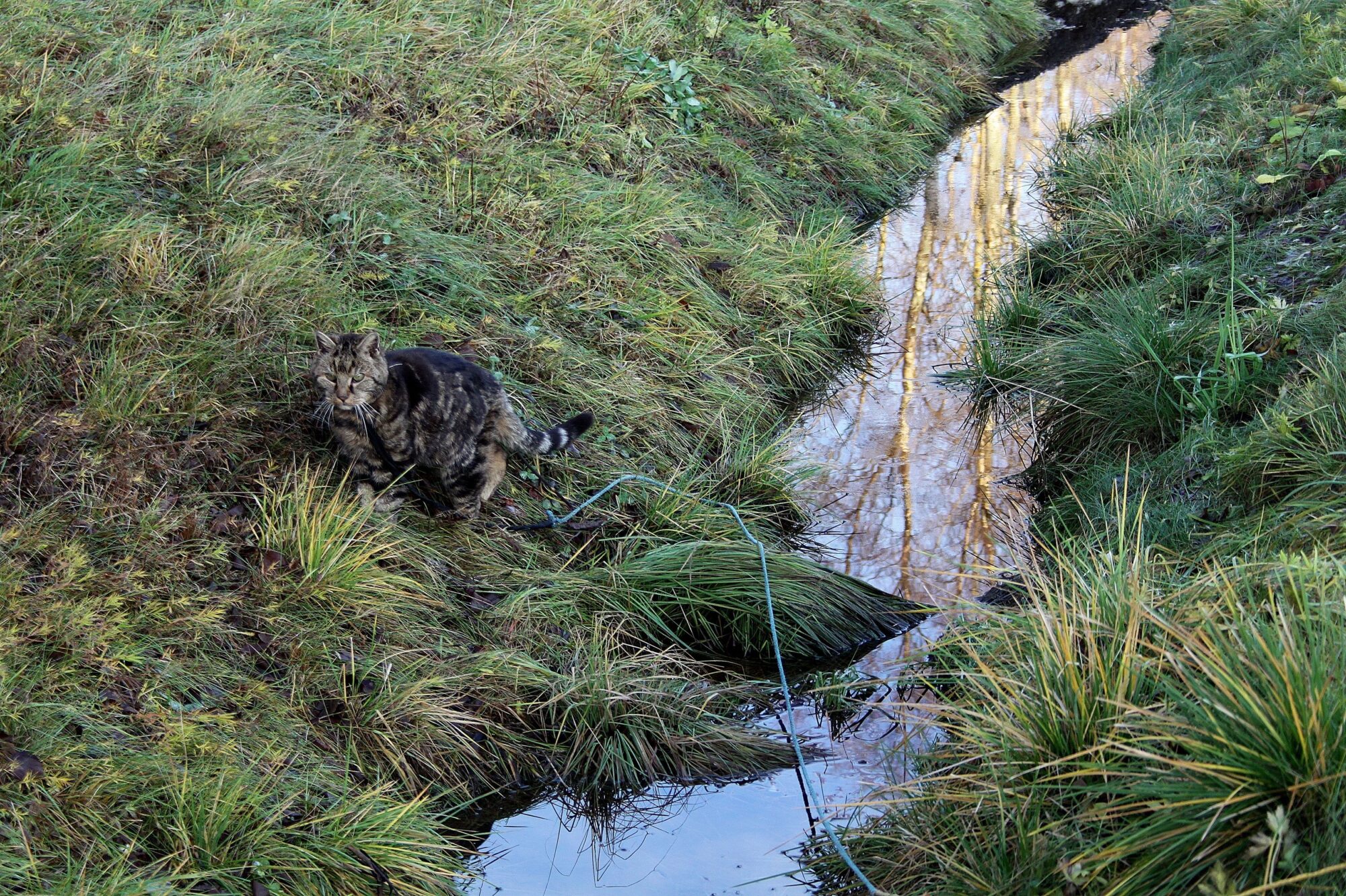 Valokuvaaja: Pirkko Siukonen