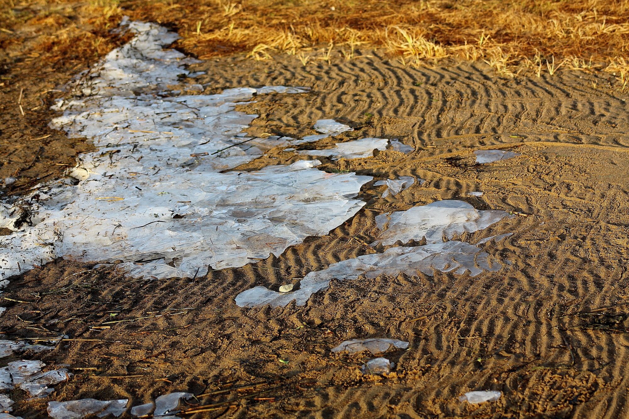Valokuvaaja: Pirkko Siukonen