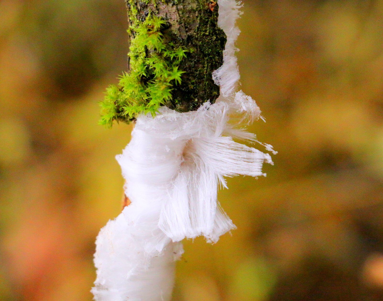 Valokuvaaja: Minna Kalliokoski