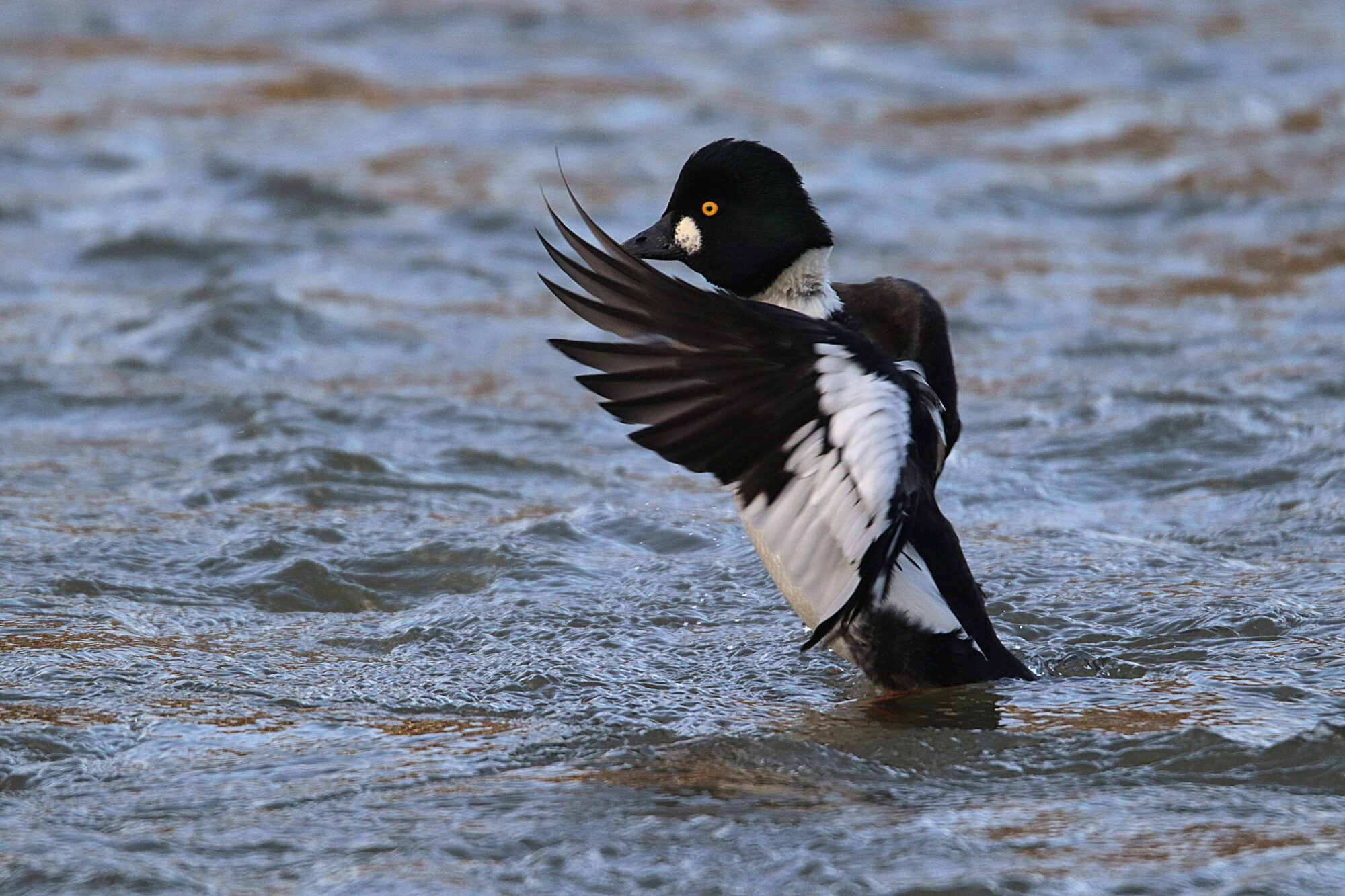 Valokuvaaja: Irja Lehtinen
