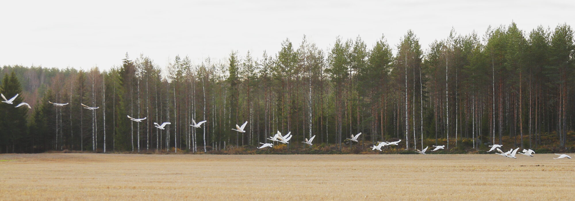 Valokuvaaja: Lasse Kokko Valokuvaaja: Lasse Kokko