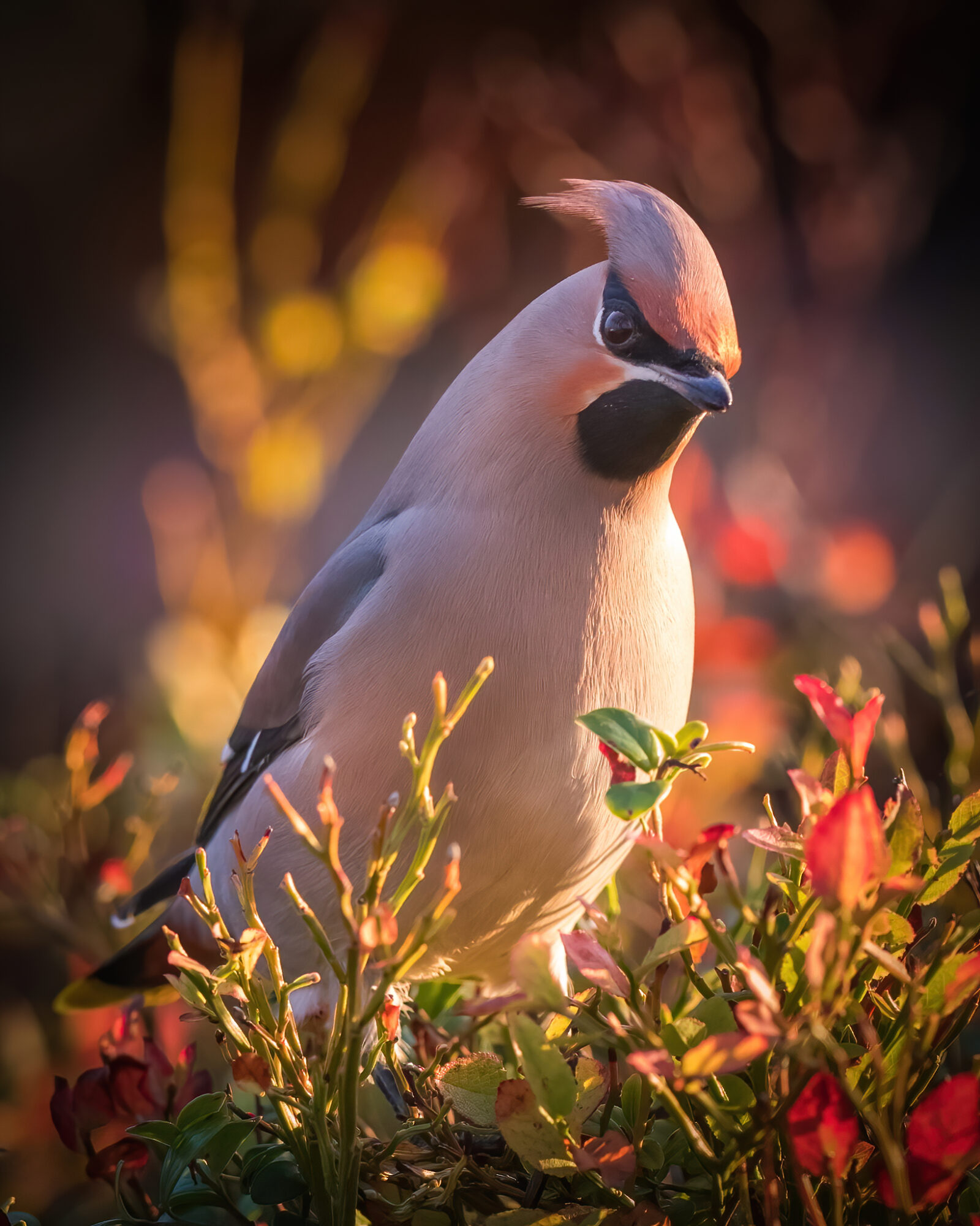 Valokuvaaja: Jukka Risikko