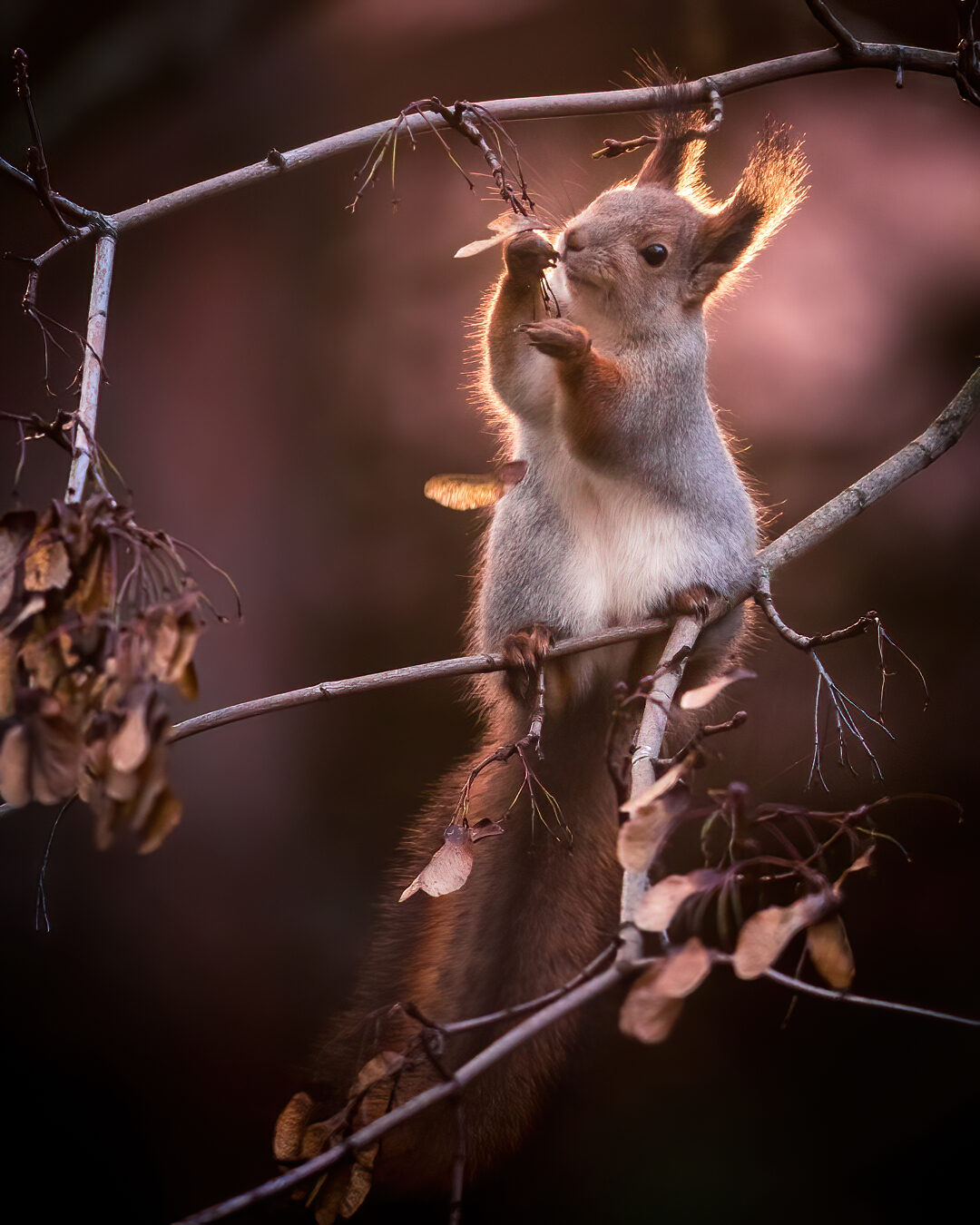 Valokuvaaja: Jukka Risikko Valokuvaaja: Jukka Risikko