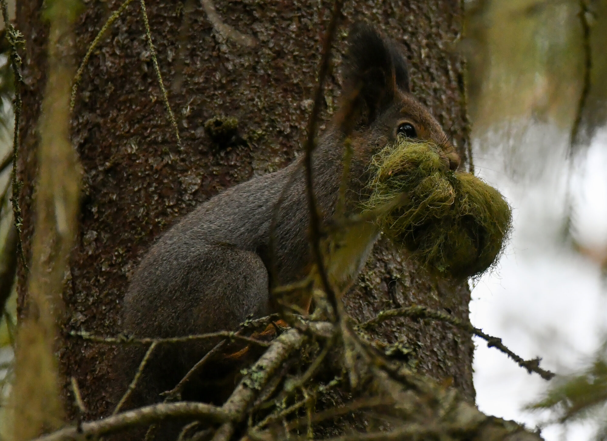 Valokuvaaja: Matti Manninen