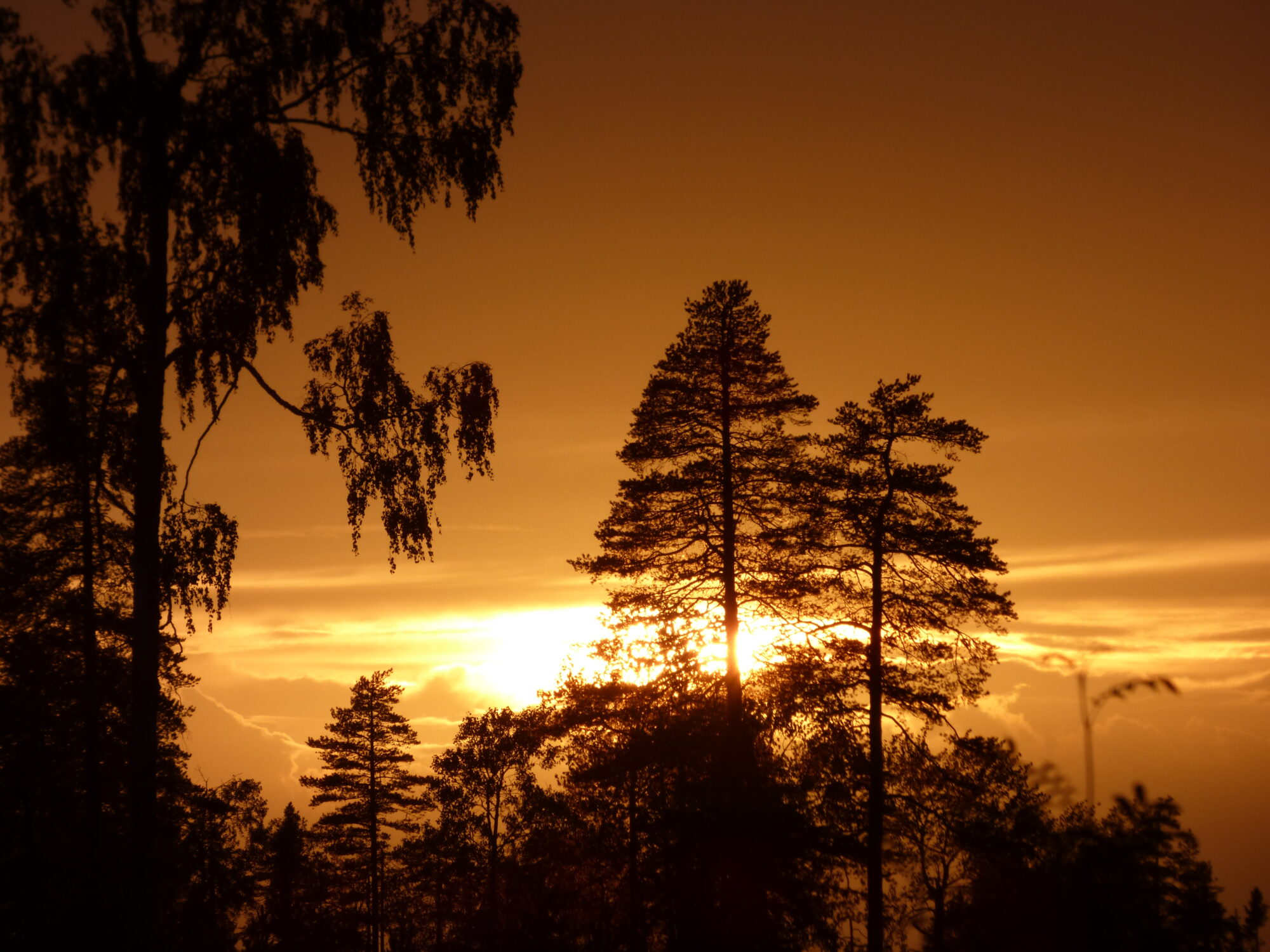 Valokuvaaja: Hannu Rissanen
