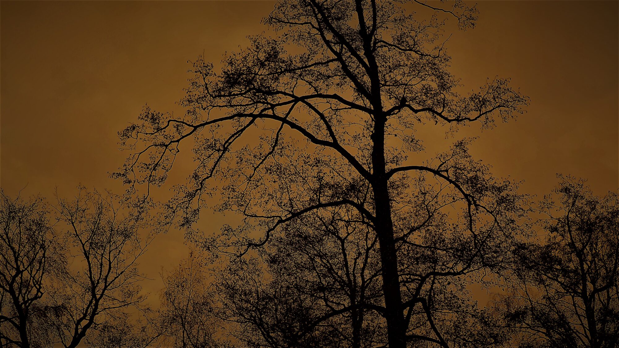 Valokuvaaja: Arja Valtonen