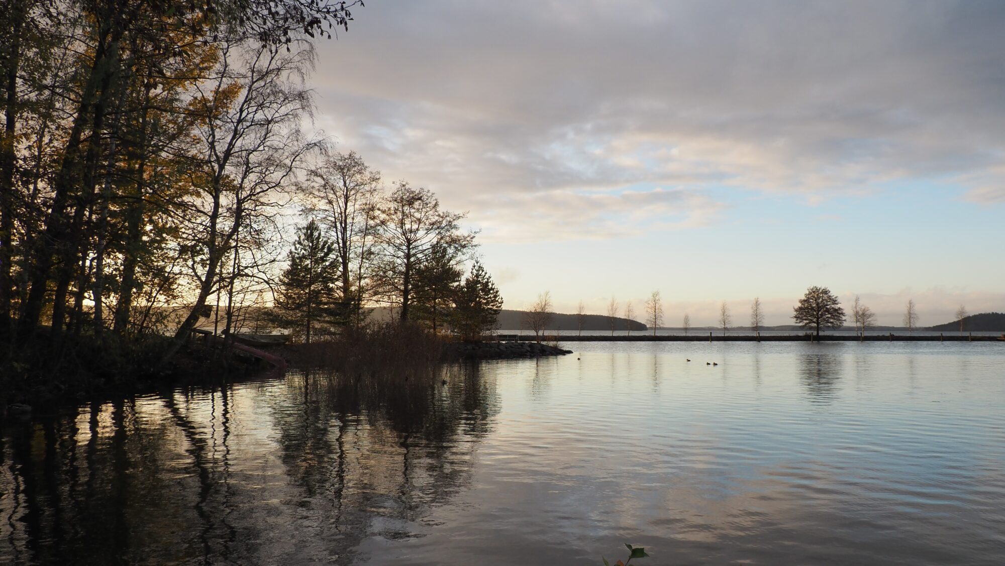 Valokuvaaja: Arja Valtonen