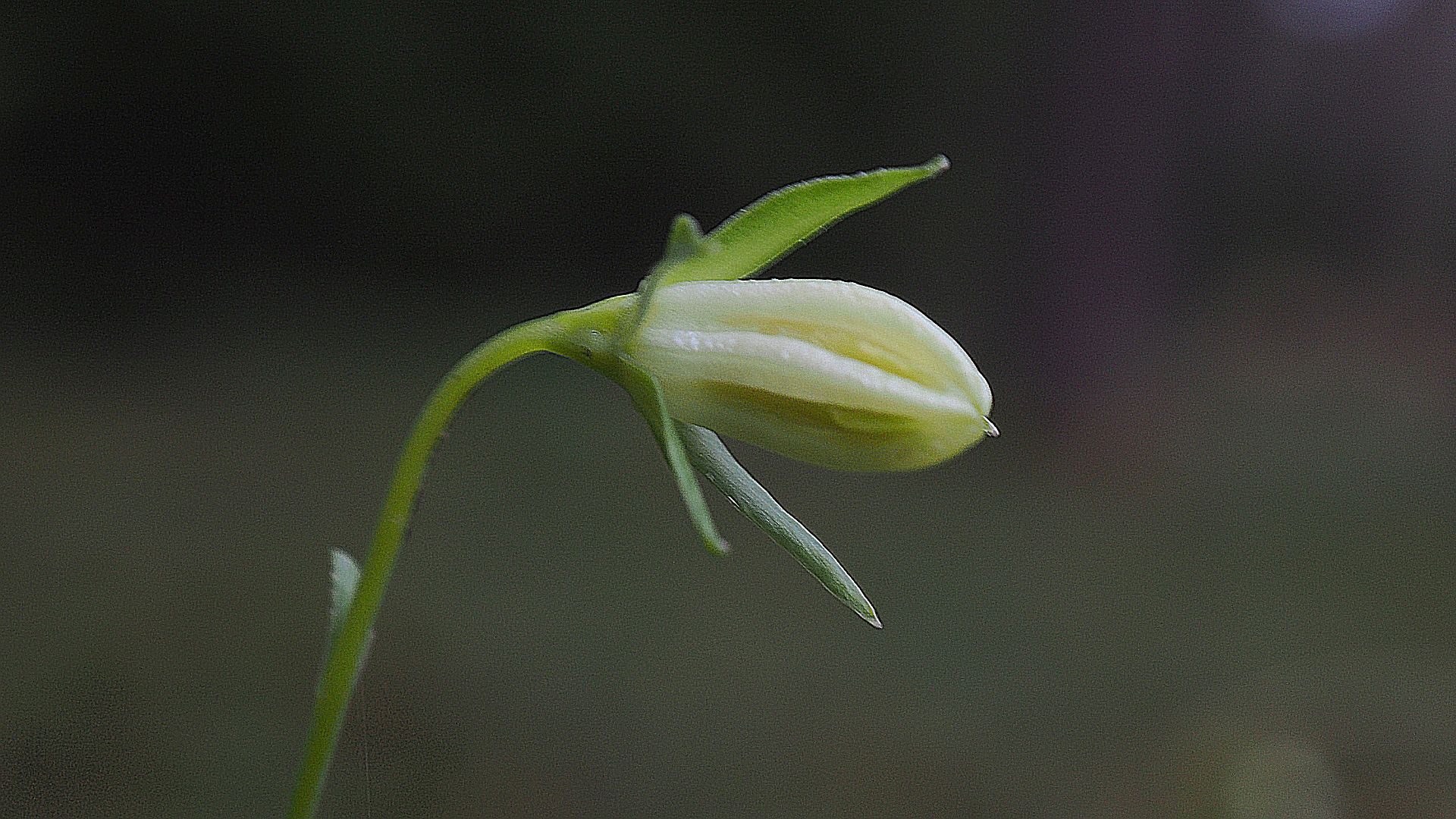 Valokuvaaja: Martti Valtonen Valokuvaaja: Martti Valtonen