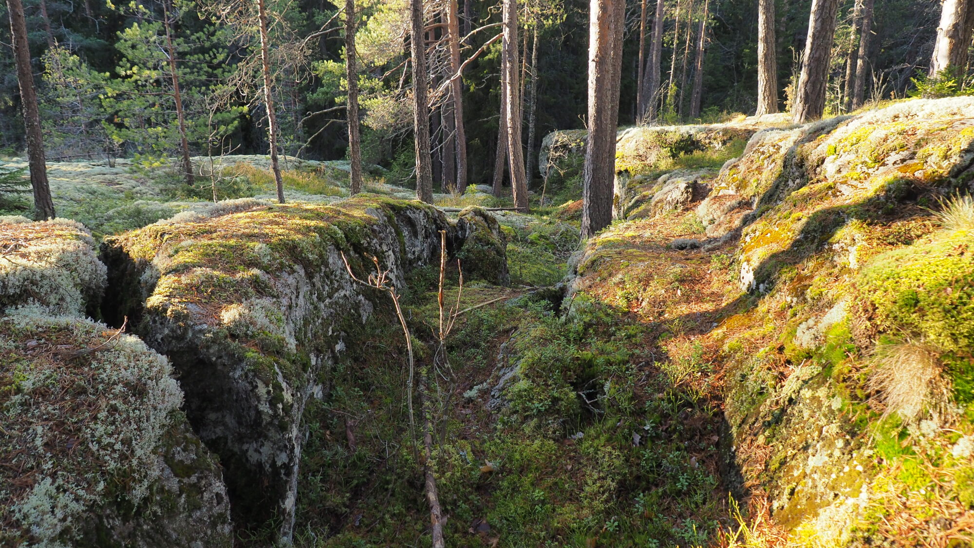Valokuvaaja: Martti Valtonen