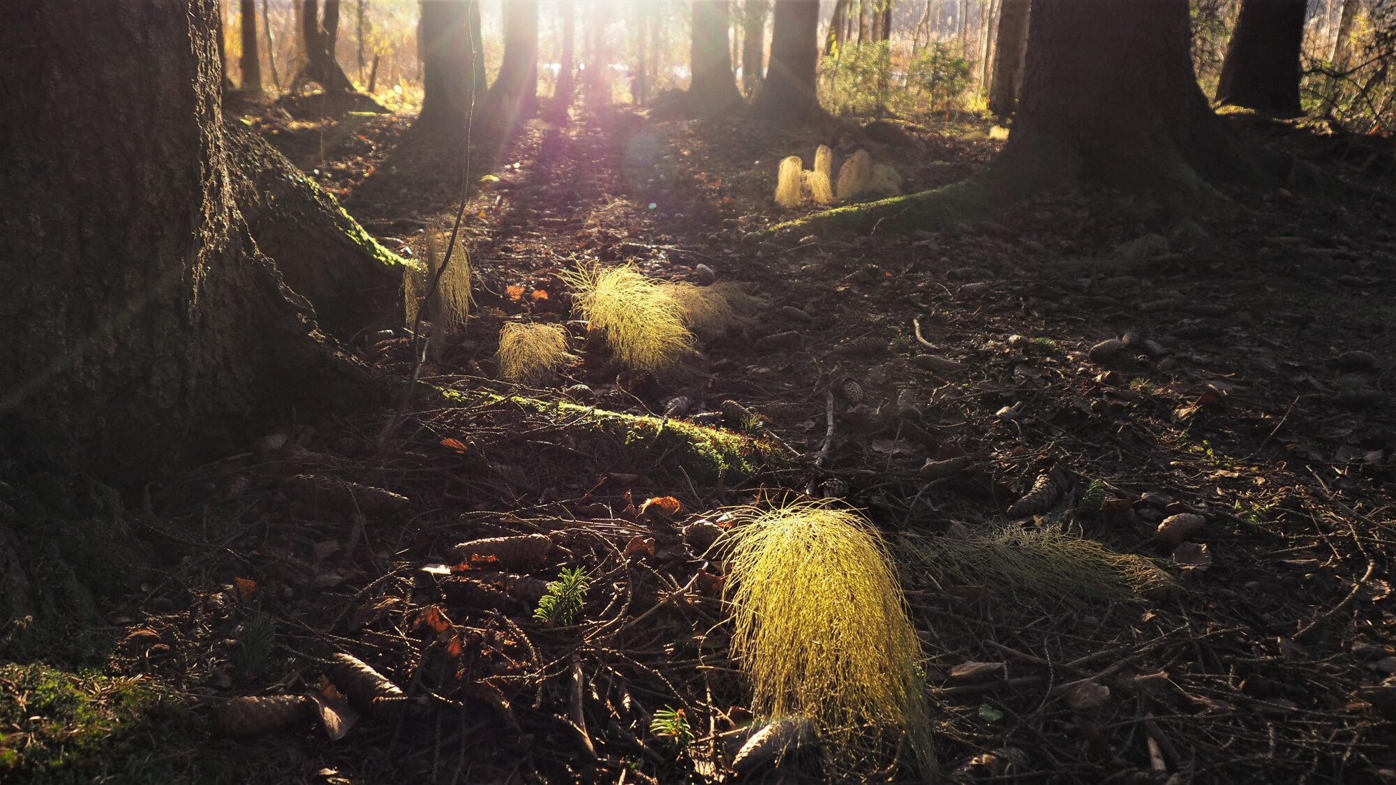 Valokuvaaja: Martti Valtonen