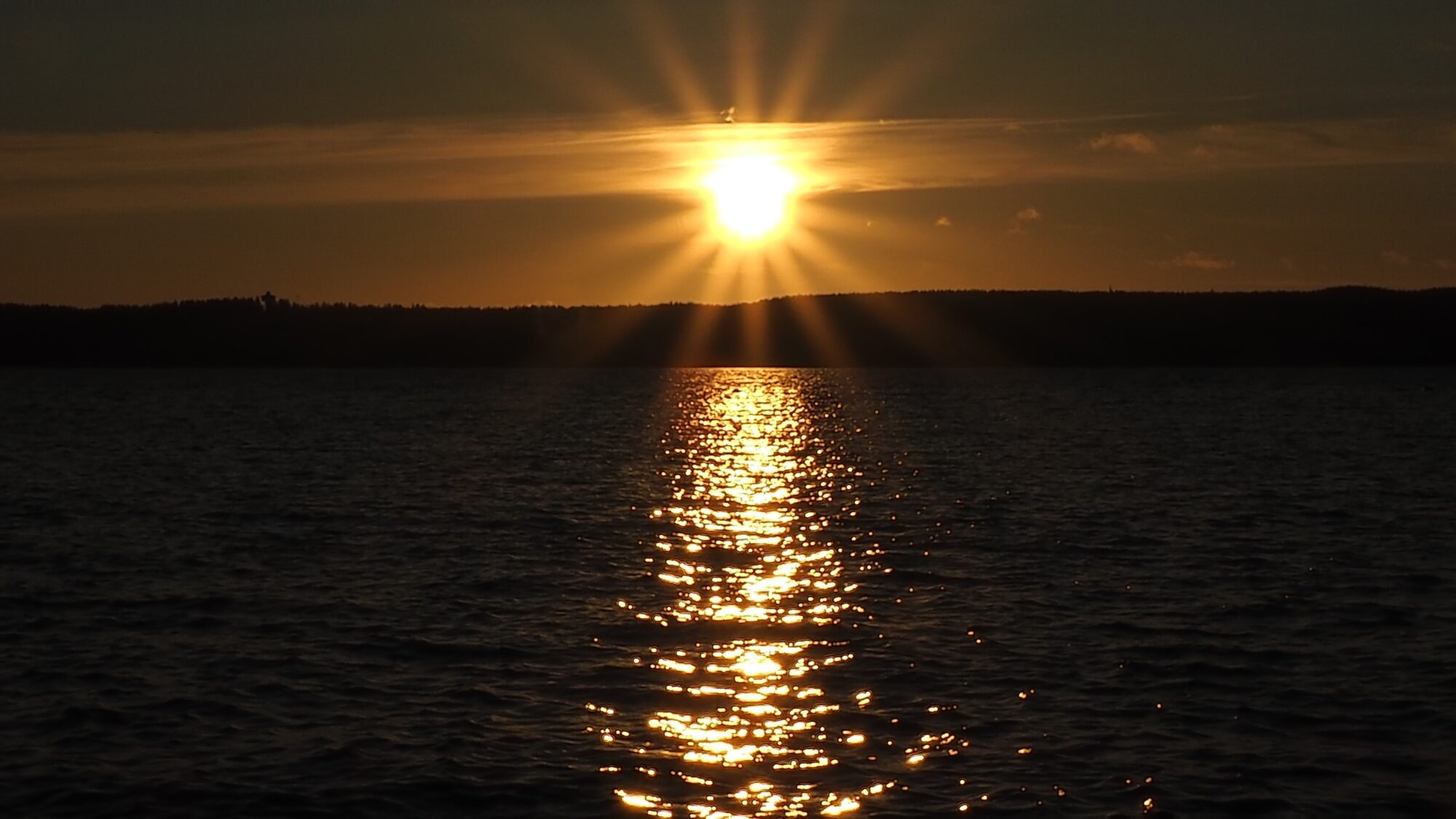 Valokuvaaja: Arja Valtonen