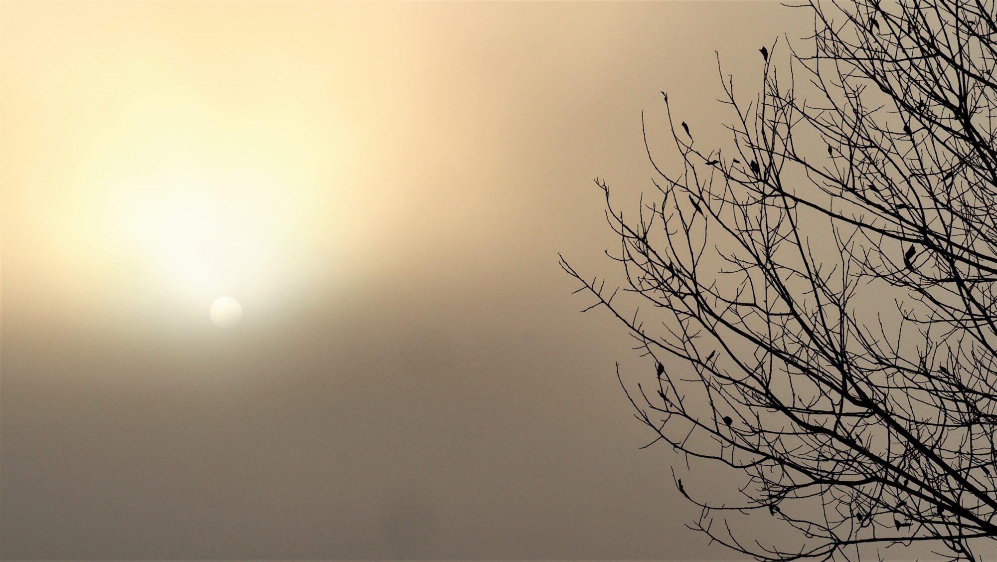 Valokuvaaja: Arja Valtonen