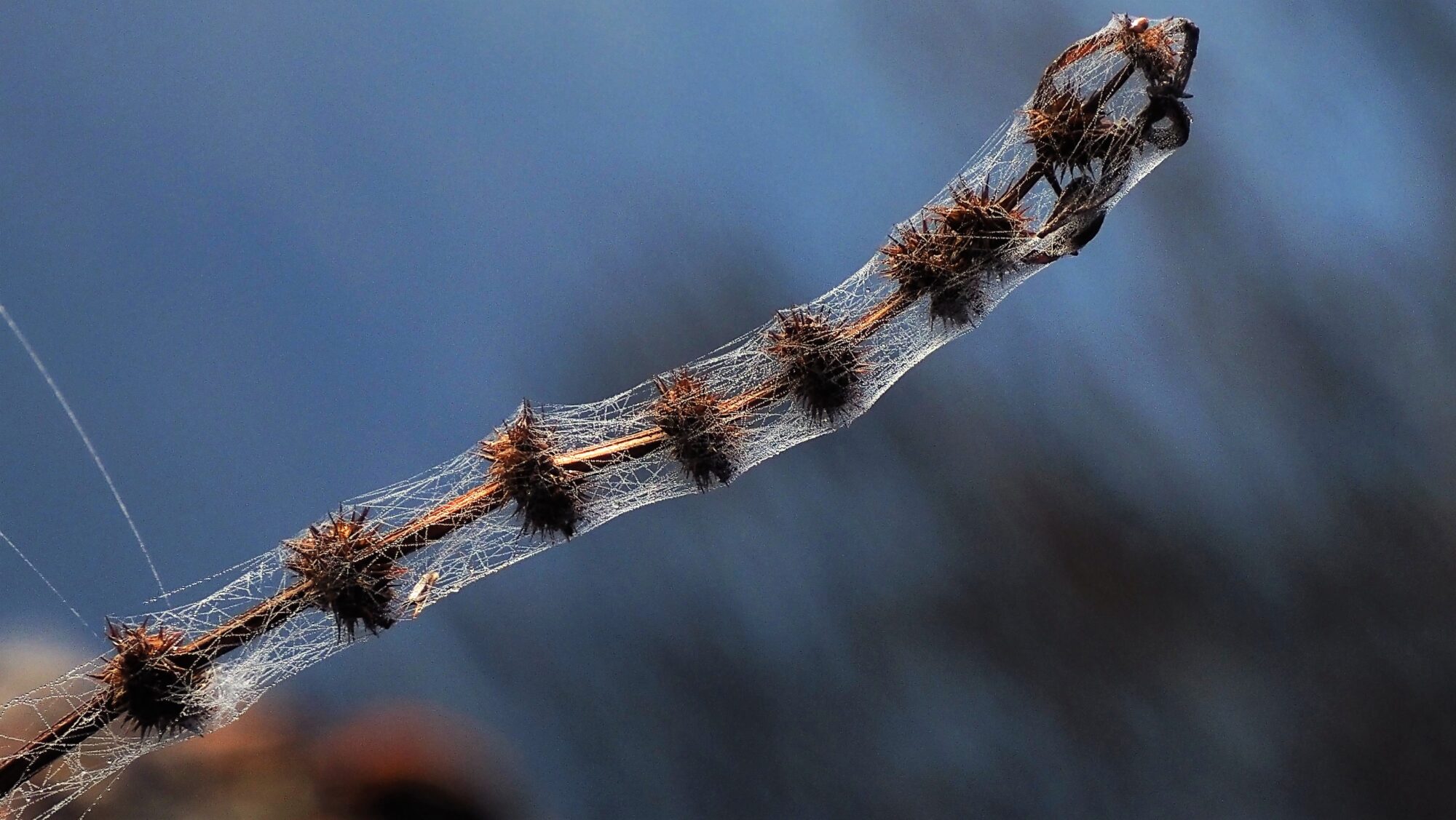 Valokuvaaja: Arja Valtonen