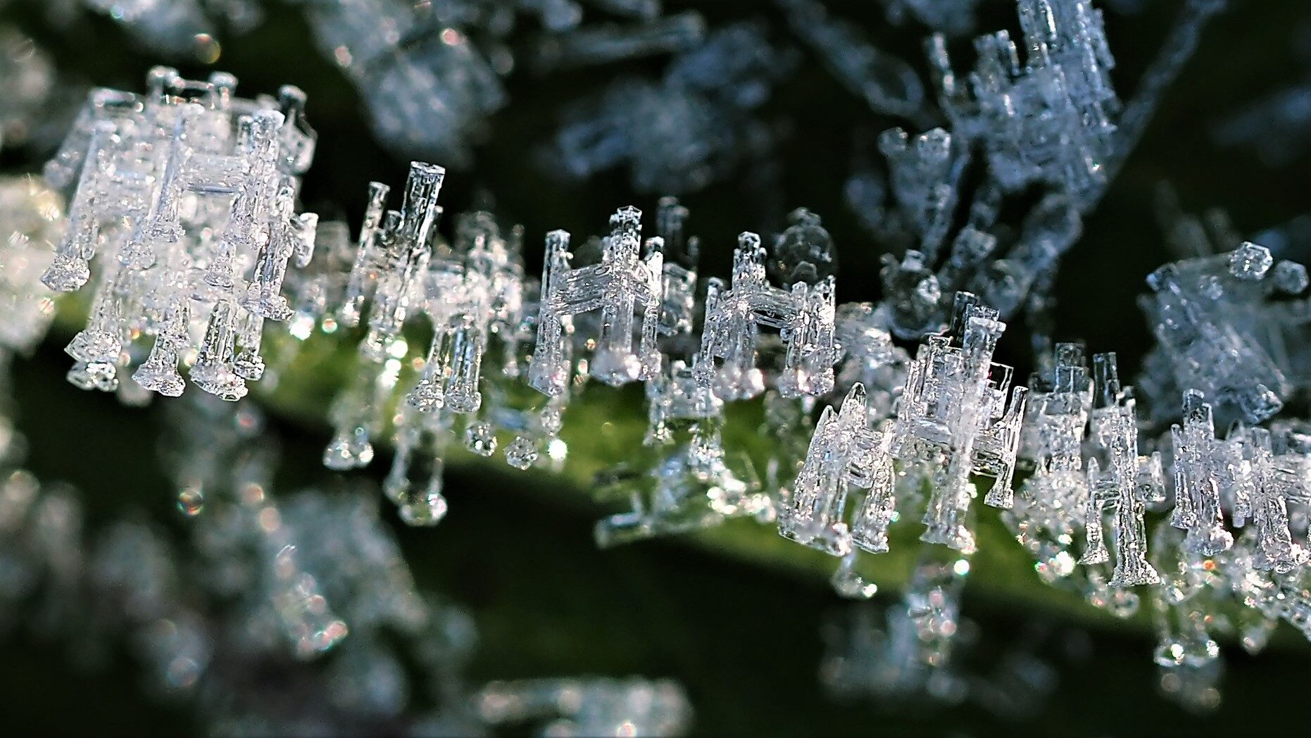 Valokuvaaja: Arja Valtonen