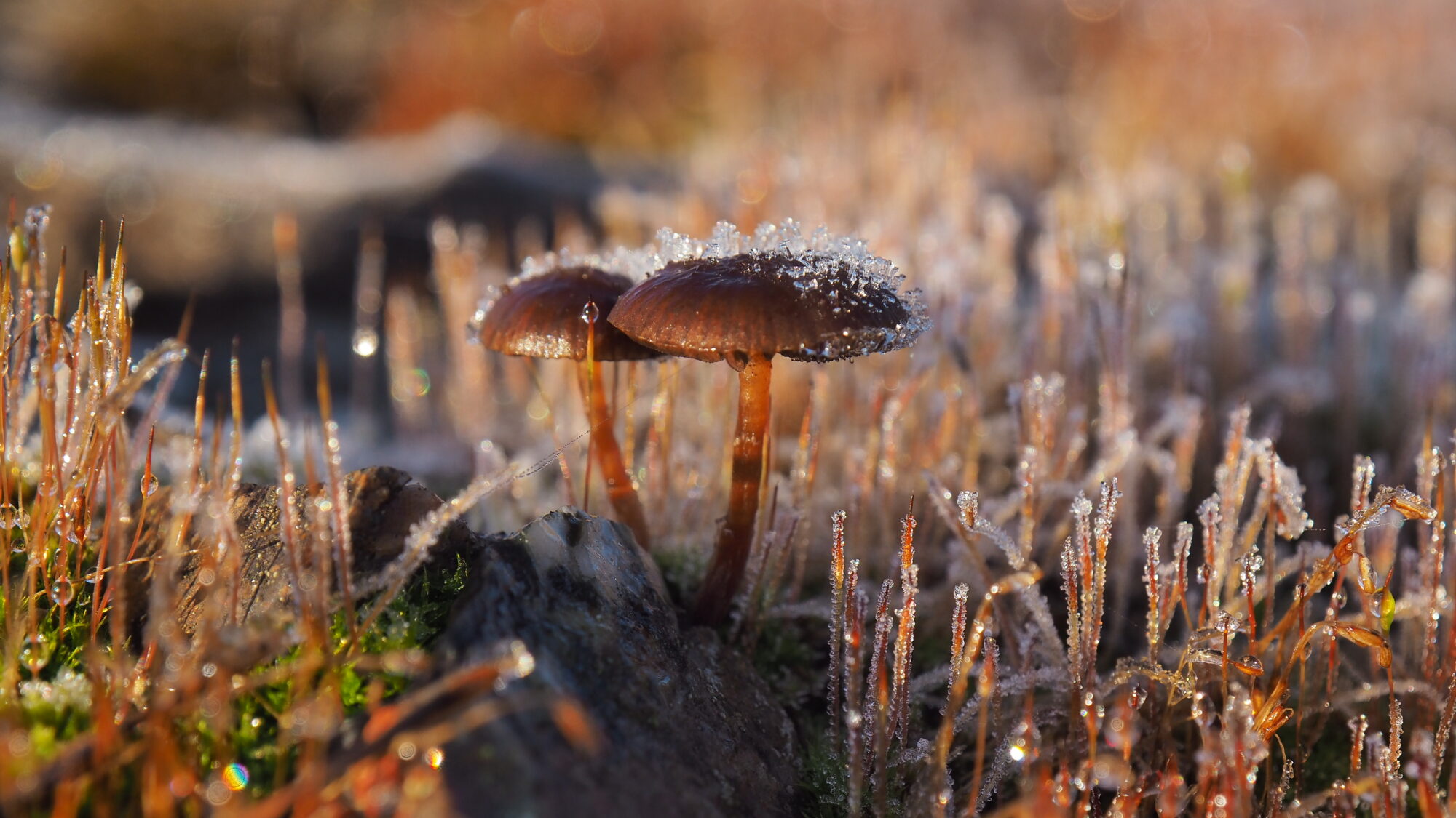 Valokuvaaja: Martti Valtonen Valokuvaaja: Martti Valtonen
