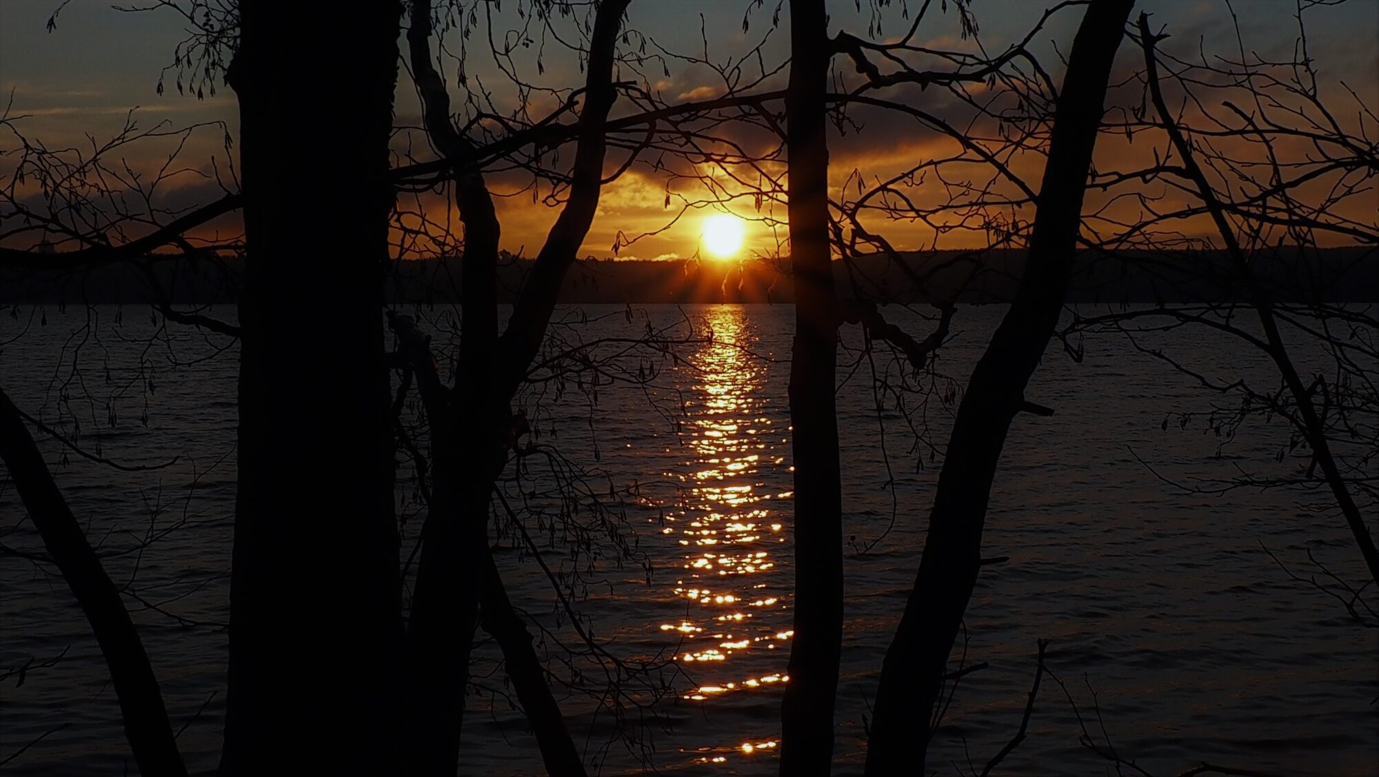 Valokuvaaja: Arja Valtonen