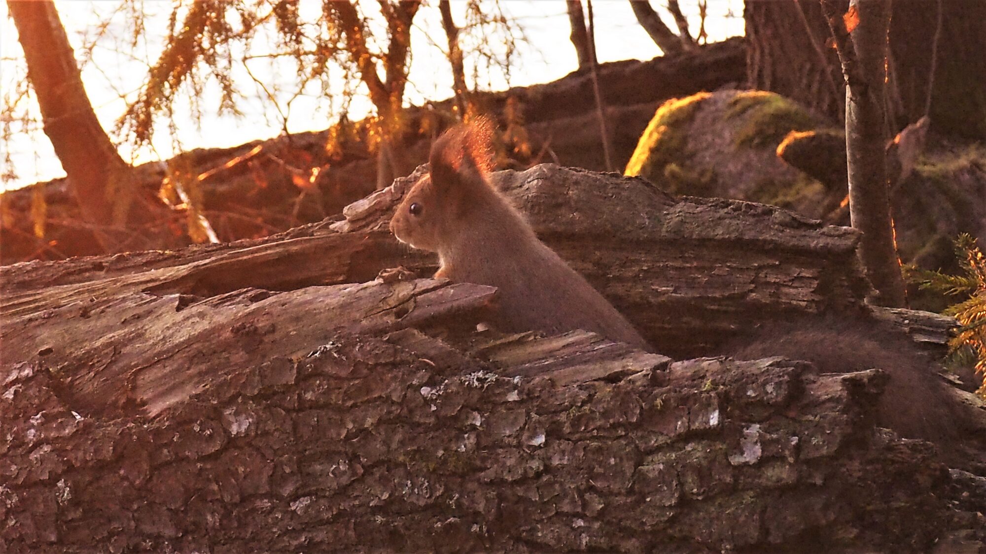 Valokuvaaja: Martti Valtonen